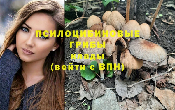 дмт Алексеевка