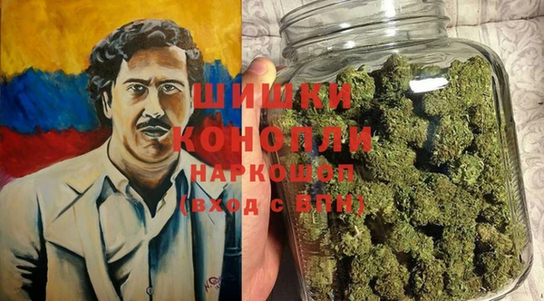 ПСИЛОЦИБИНОВЫЕ ГРИБЫ Алзамай