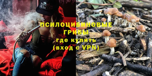 ПСИЛОЦИБИНОВЫЕ ГРИБЫ Алзамай