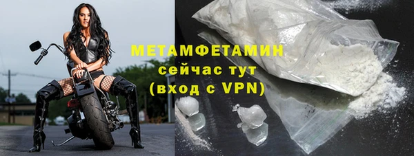 прущие грибы Сатка