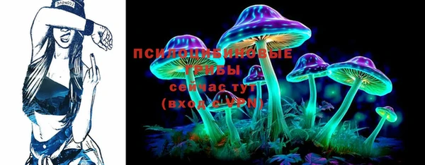 ПСИЛОЦИБИНОВЫЕ ГРИБЫ Алзамай