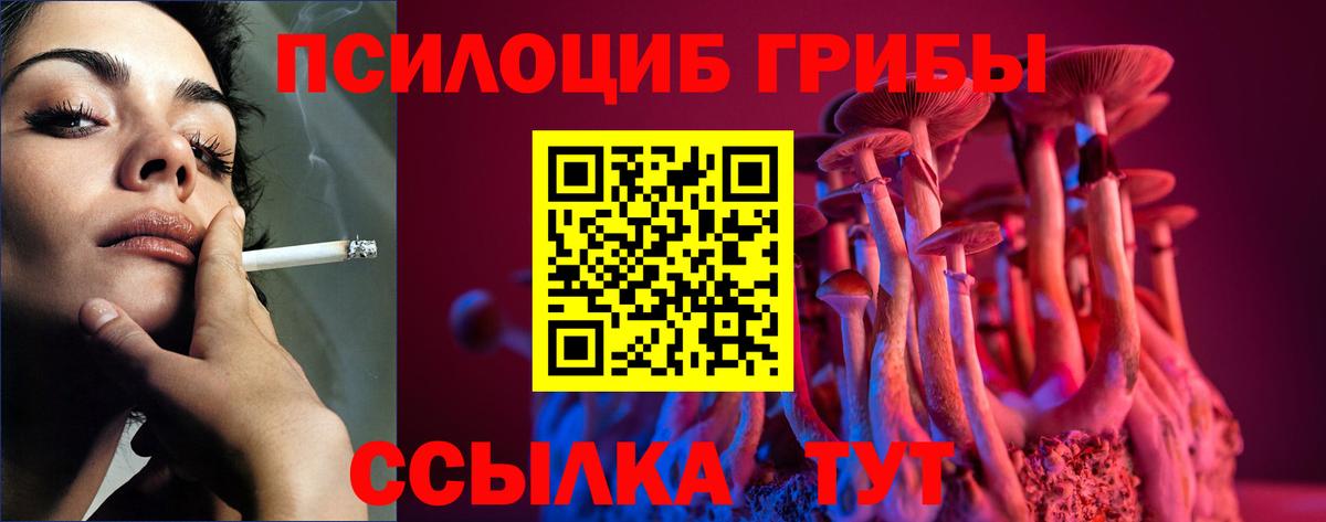 Псилоцибиновые грибы Psilocybine cubensis  Вход с VPN  Павлово  Галлюциногенные грибы GOLDEN TEACHER 