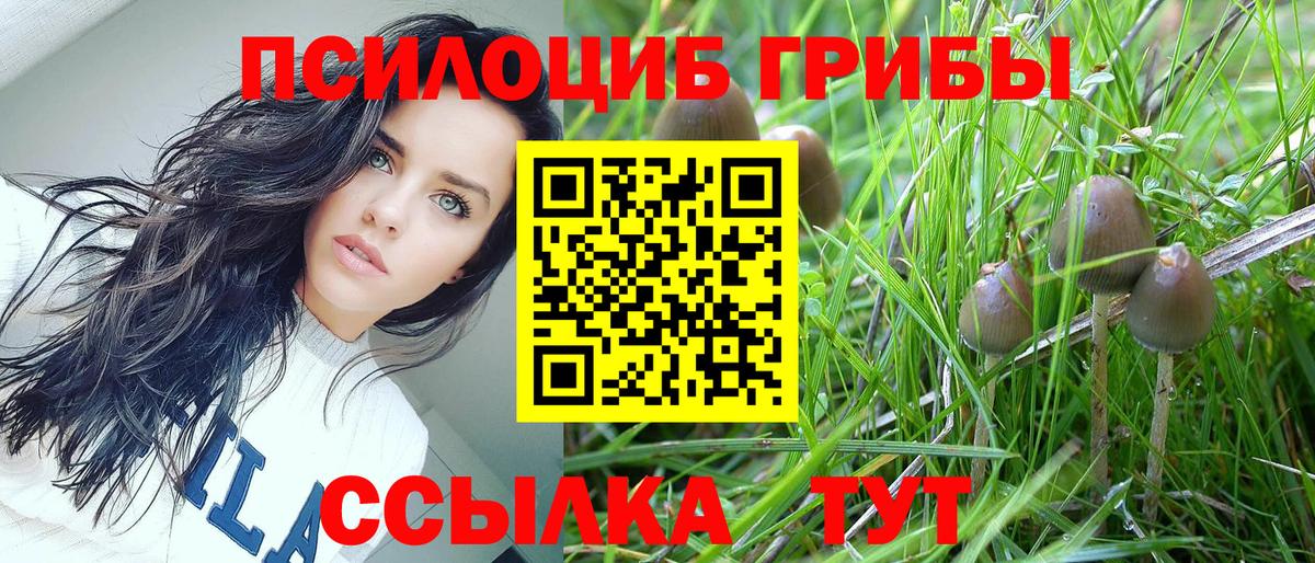 Галлюциногенные грибы ЛСД Павлово