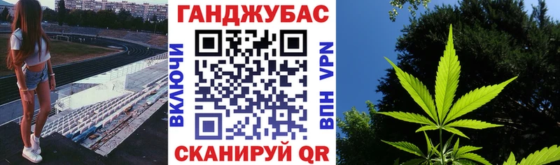 Конопля SATIVA & INDICA  купить наркотики сайты  Павлово 