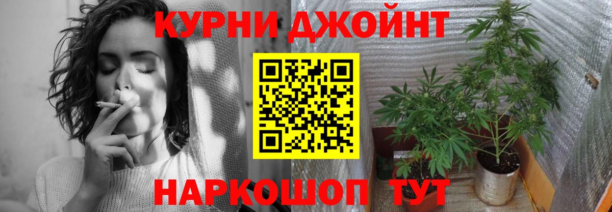Бошки марихуана план  Вход с VPN  МАРИХУАНА THC 21%  Бошки Шишки Bruce Banner  Павлово 